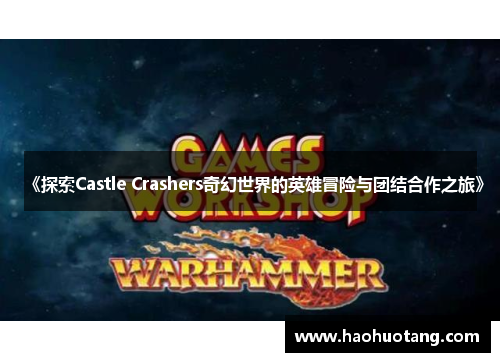《探索Castle Crashers奇幻世界的英雄冒险与团结合作之旅》
